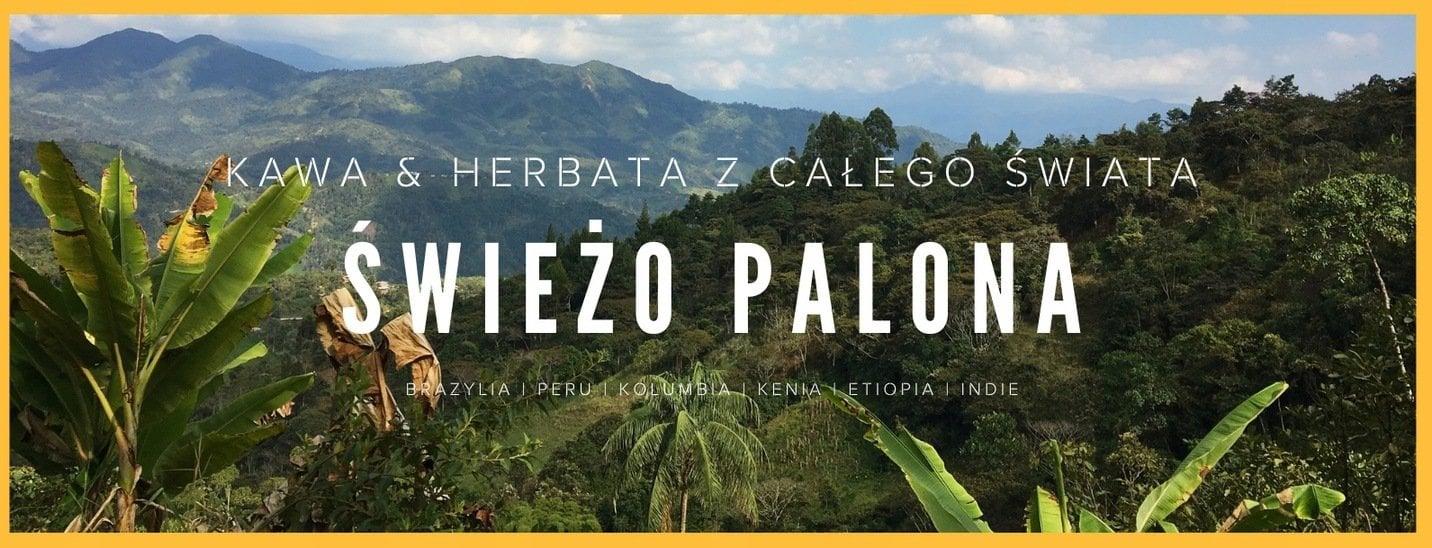 Kawa ziarnista HAYB Kawa ziarnista Świeżo palona Ale Owoc! Guatemala Santa Barbara Przefiltrowana 250g