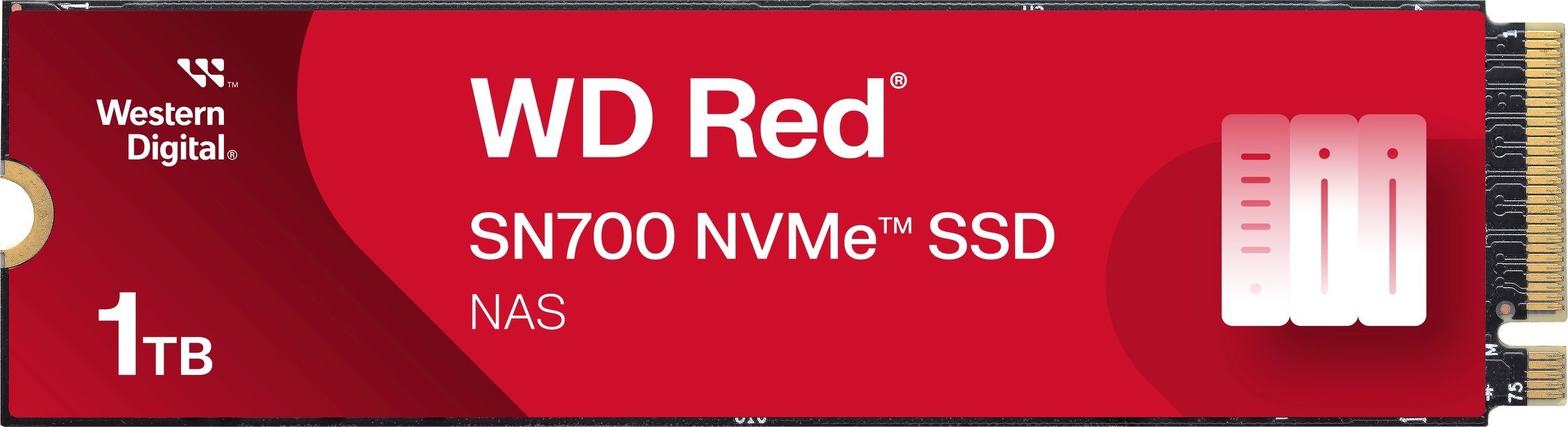 Dysk SSD SanDisk Red SN700 1TB M.2 2280 PCI-E x4 Gen3 NVMe (WDS100T1R0C)