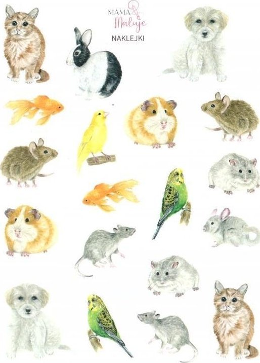 Naklejki Zwierzęta domowe