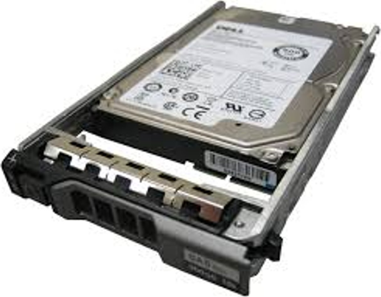 Zdjęcia - Podzespoły serwerowe Dell Dysk serwerowy  2TB 3.5'' SAS-1  (R755K) (3Gb/s)