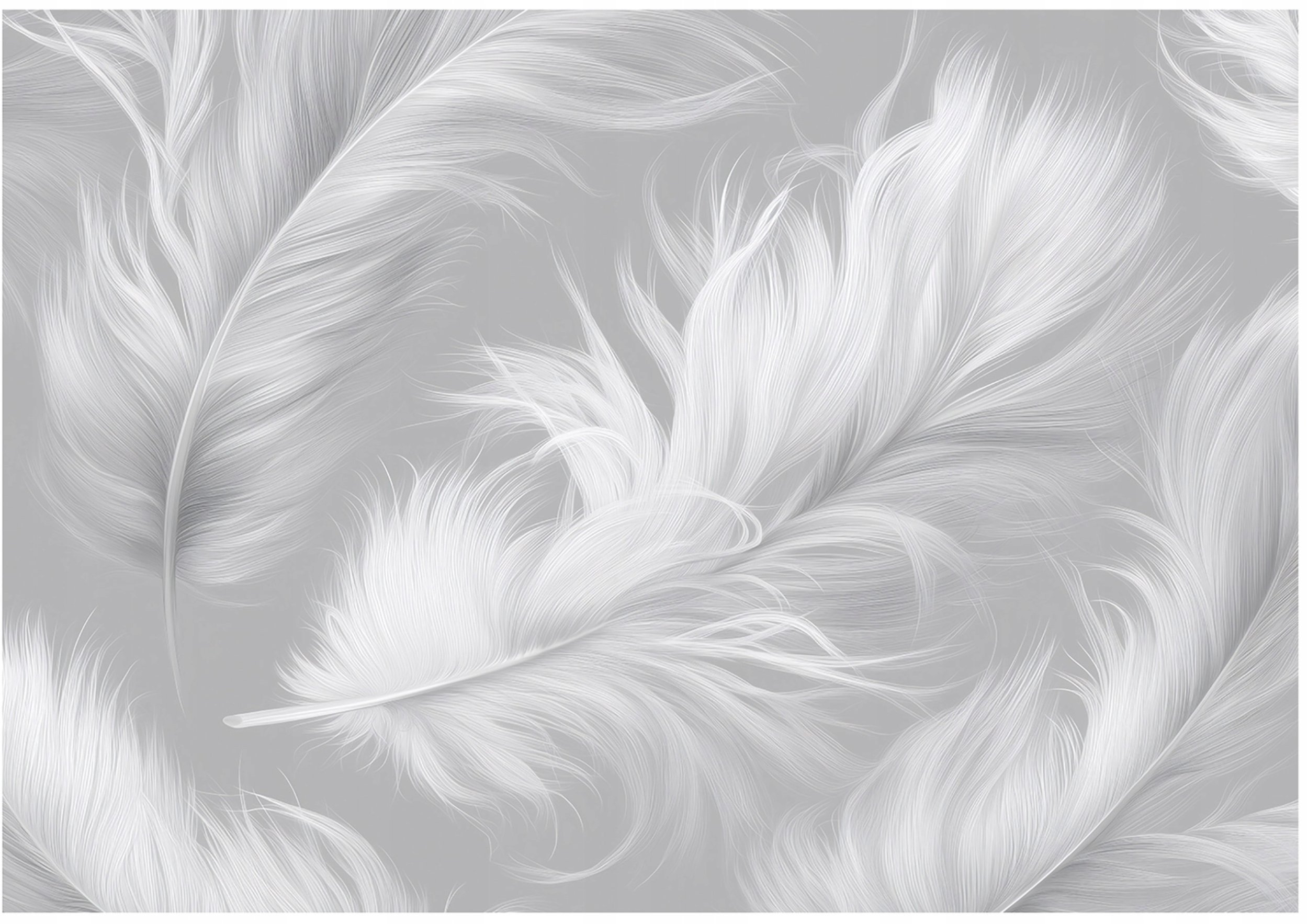 Fototapeta Na Flizelinie Pióra Abstrakcja Do Sypialni Salonu 250x175