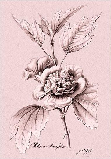 Skona Ting Karnet ST331 B6 + koperta Ketmia