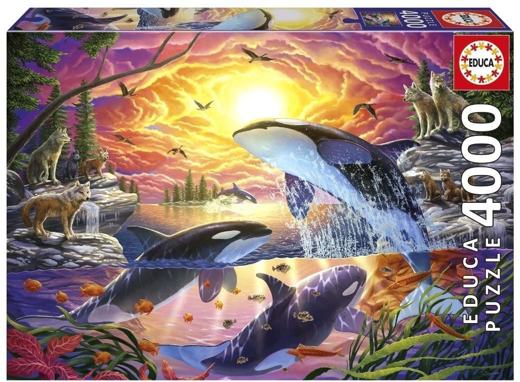 Educa Puzzle 4000 Uwolnij orkę
