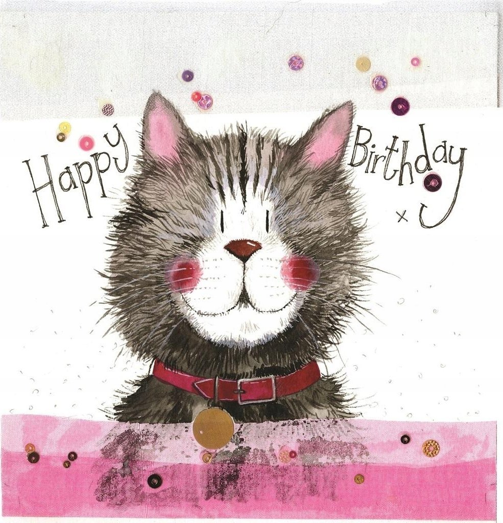 Teka Karnet Urodziny S288 Kot w obroży