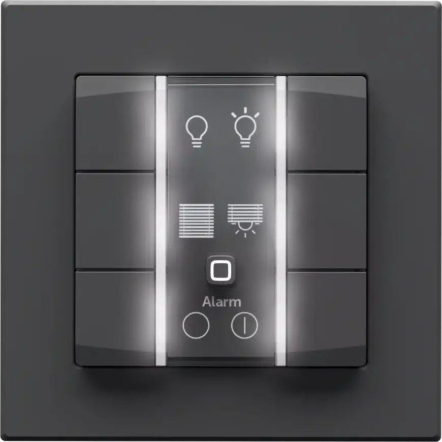 eQ-3 Homematic IP Przycisk ścienny - 6-krotny 230 V antracyt
