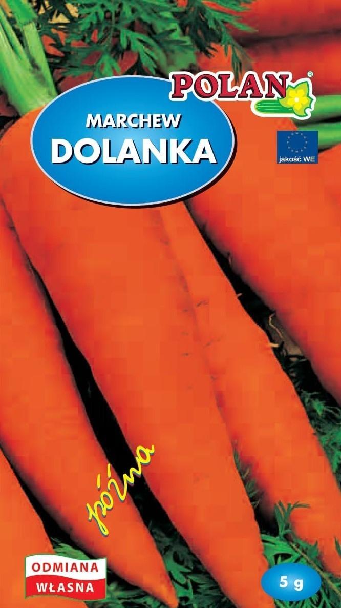 Polan Marchew Jadalna Dolanka Nasiona 5g