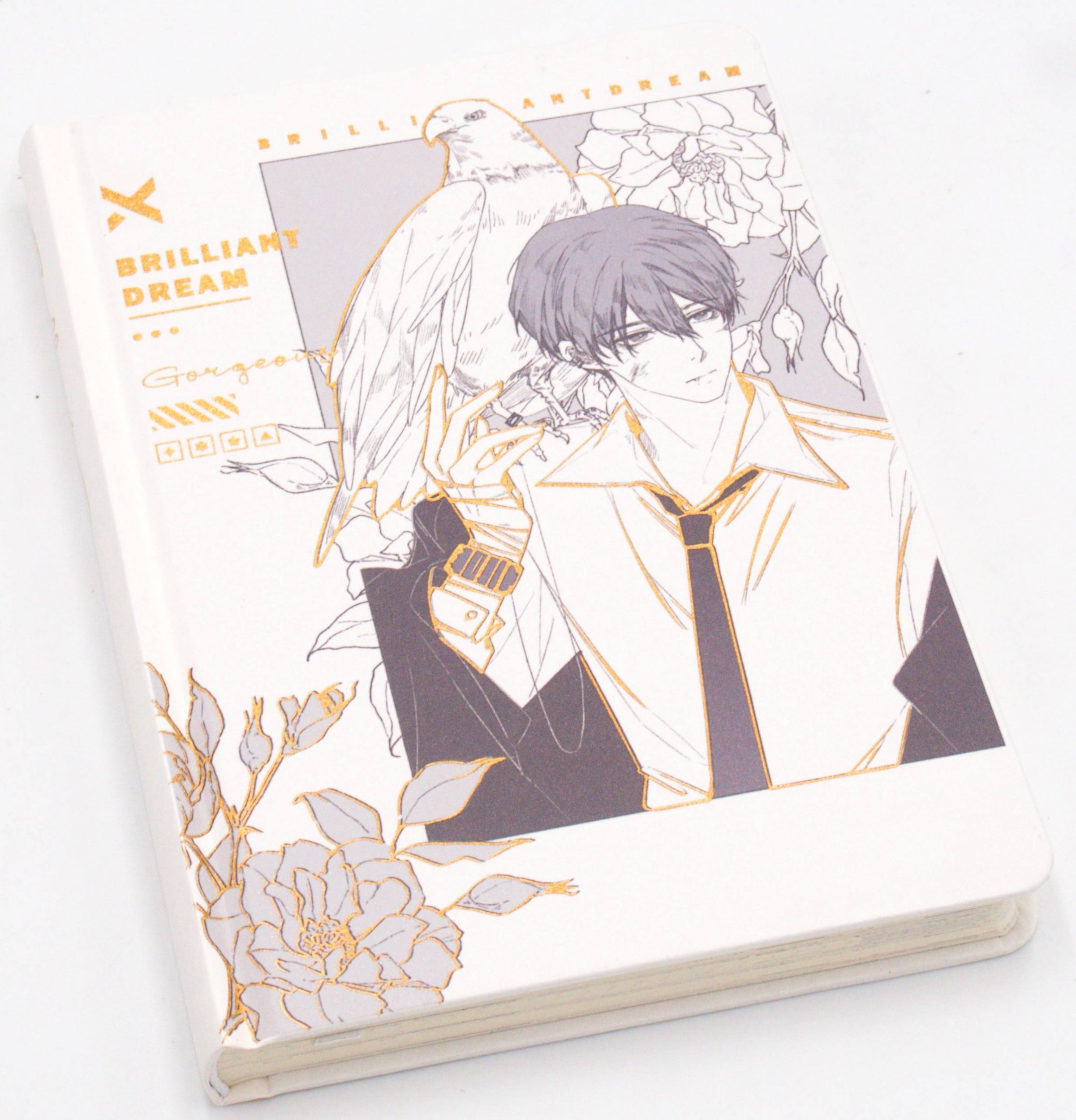 myHomelife Notes pamiętnik Brilliant Dream z rysunkiem manga