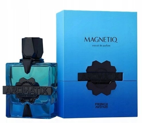 Histoires de Parfums French Avenue Magnetiq Aromatix PAR U 100 ml