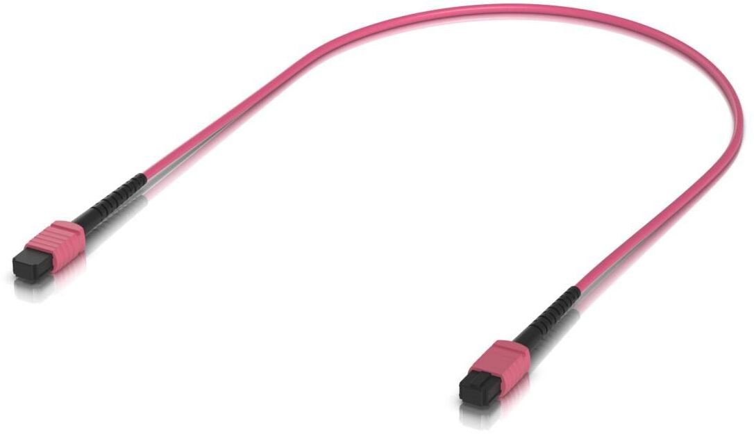   Indoor OM4 multi-mode fiber patch cable with MPO-12 Type