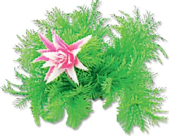 Happet HAPPET ROŚLINA FOLIA 10CM / 1F12