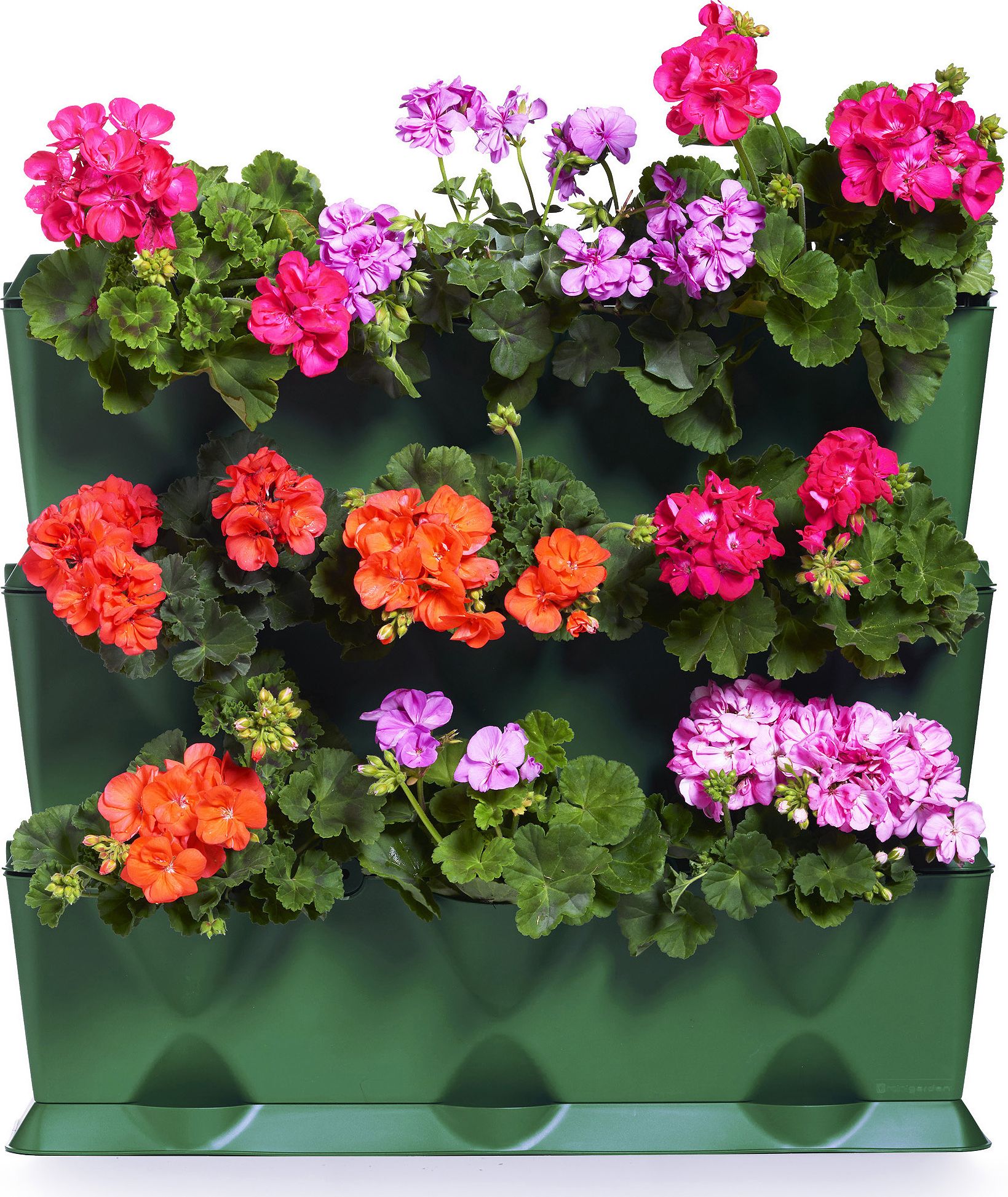 Фото - Підставка для квітів Minigarden Minigarden Vertical zielony - zielnik, modułowy ogród domowy, z