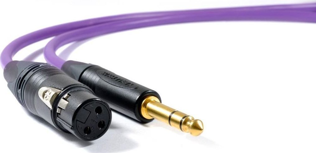 Zdjęcia - Kabel Rain  Melodika Jack 6.3mm - XLR 1m fioletowy 