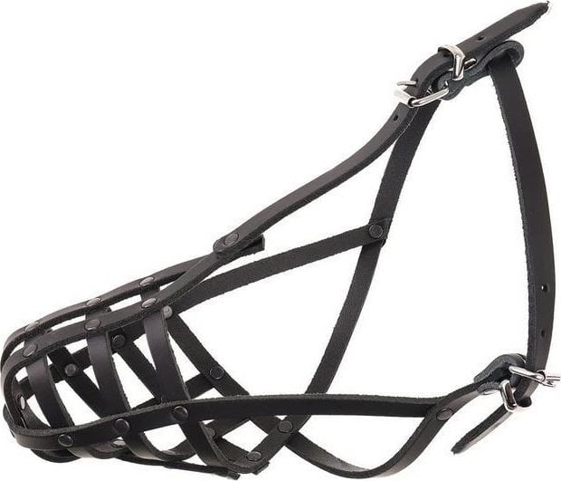 Dino Kaganiec Dla Psa Skórzany Nitowany 6 Jamnik