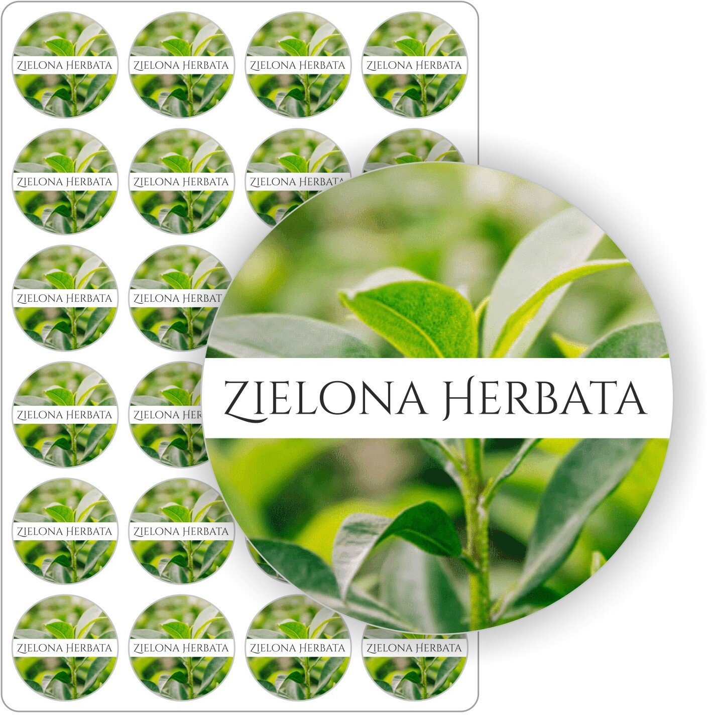 Stabilus etykiety nalepki naklejki liściasta samoprzylepne kolorowe ZIELONA HERBATA słoiki olejki 5cm (E-OWO_HEZI_C5)