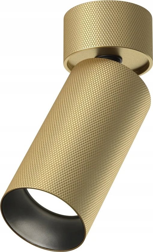 Maytoni SPOT LIGHT ARTISAN GU10 10W MG
