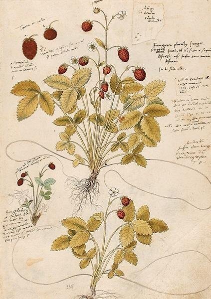 Skona Ting Karnet ST410 B6 + koperta Poziomka