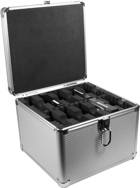 LogiLink Walizka ochronna na 10 x HDD 3.5" (UA0193)