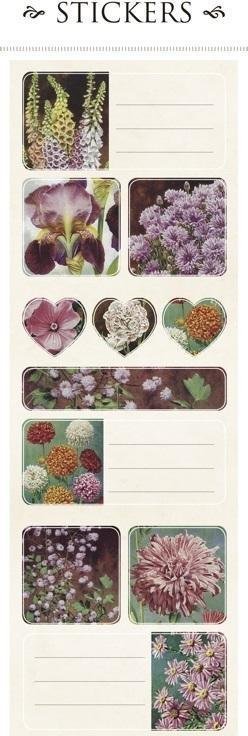 Skona Ting Naklejki ozdobne ST143-6 jesień 2 arkusze