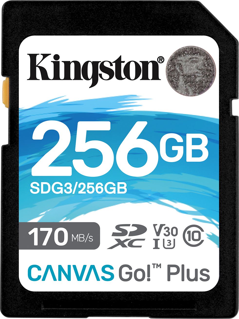 Karta Kingston Canvas Go! Plus SDXC 256 GB Class 10 UHS-I/U3 V30 (SDG3/256GB)
