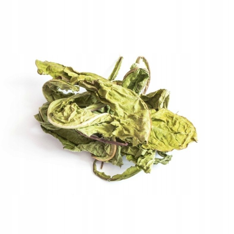 TIVO ZIOŁA LIŚĆ MNISZKA LEKARSKIEGO XXL 600g / 12