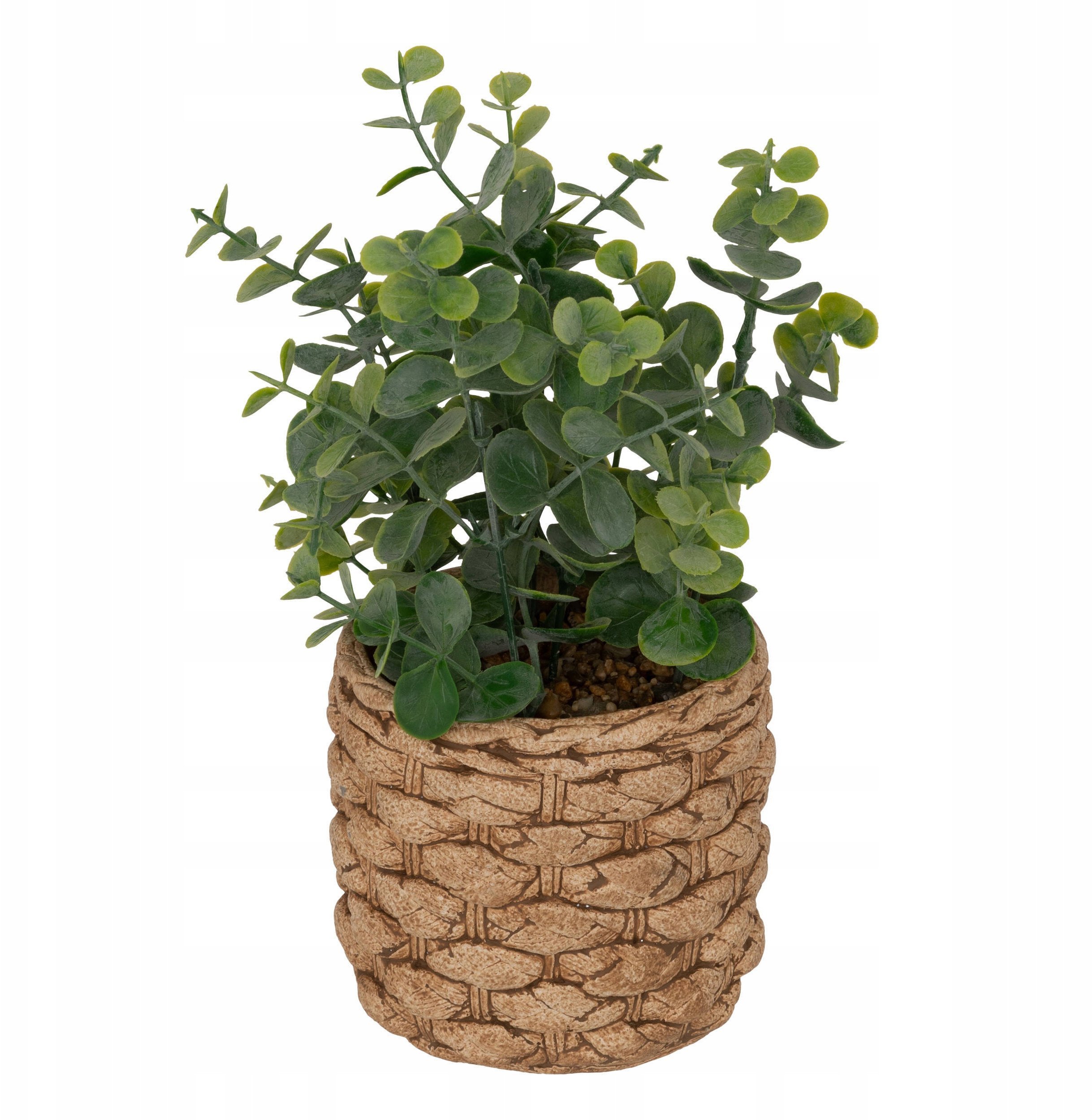 Sztuczny eukaliptus JAYE w ceramicznej doniczce, wys. 27 cm