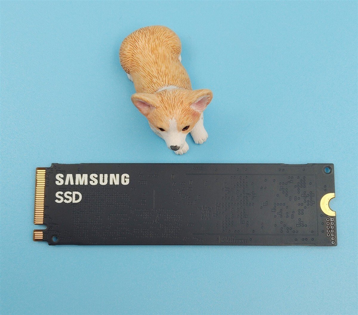 Dysk SSD Dell SSDR,1TB,G44,80S3,SMSNG,PM9A1