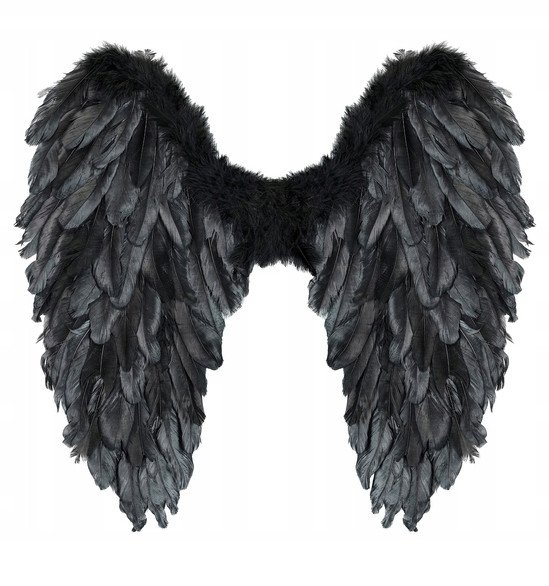 Widmann Czarne skrzydła pióra