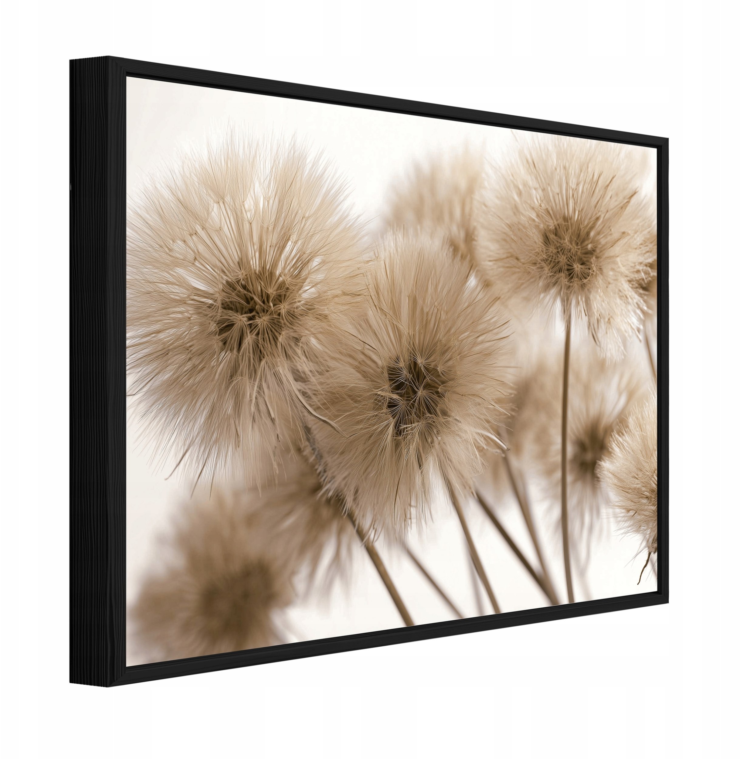 Wallarena Obraz W Ramie Na Płótnie Dmuchawce Kwiaty Do Sypialni Salonu 60x40