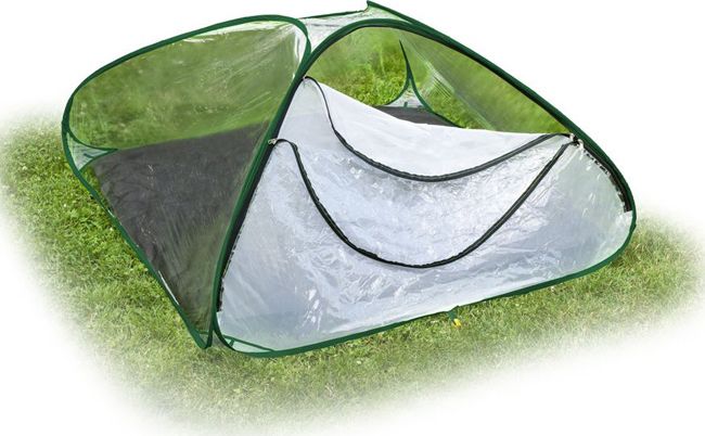 Garden King Miniszklarenka 120 cm x 120 cm x 60 cm (5041-P)