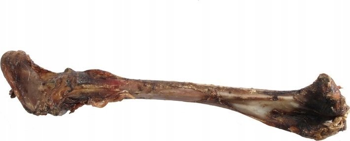 Arami ARAMI. KOŚĆ JELENIA DUŻA