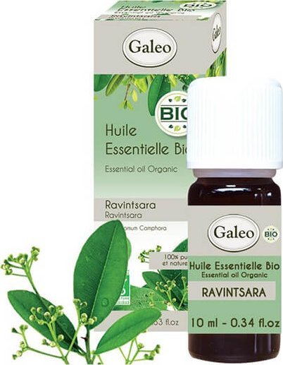 Galeo Olejek eteryczny BIO* z cynamonowca kamforowego 10 ml
