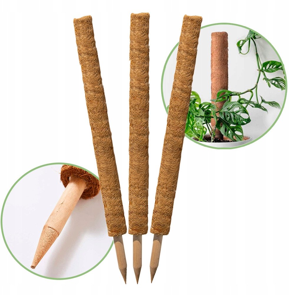 Kadax Palik kokosowy 60 cm podpora do roślin tyczka 3 szt