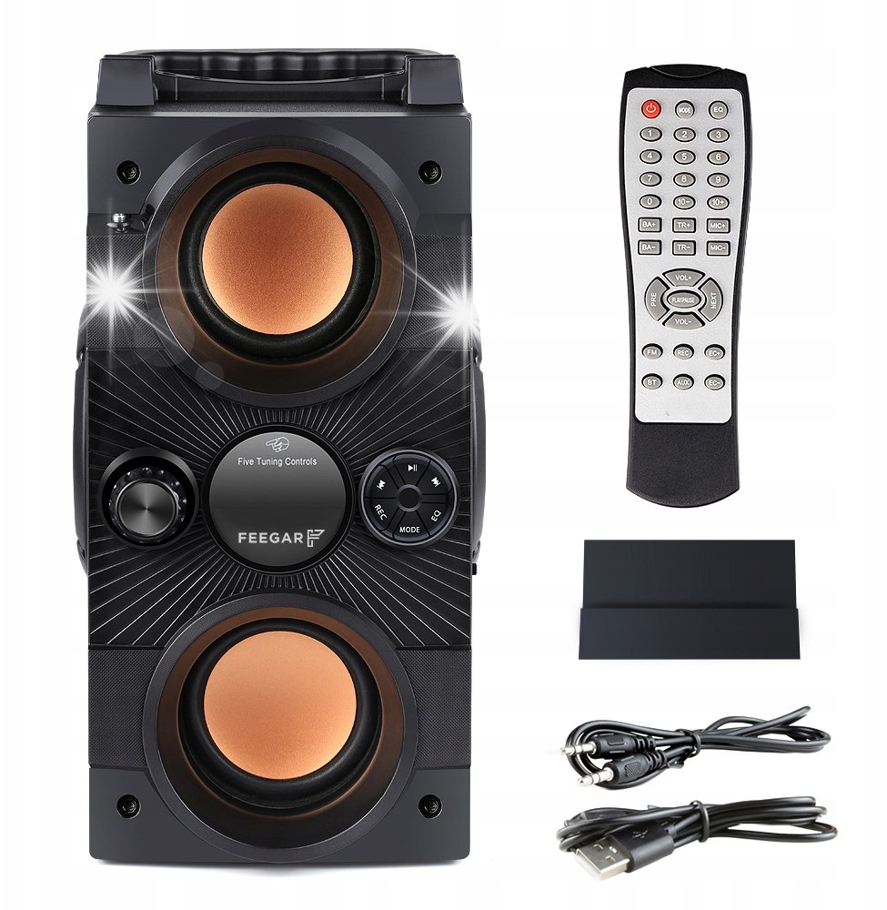 Głośnik Feegar Głośnik przenośny Feegar DANCE czarny 30 W