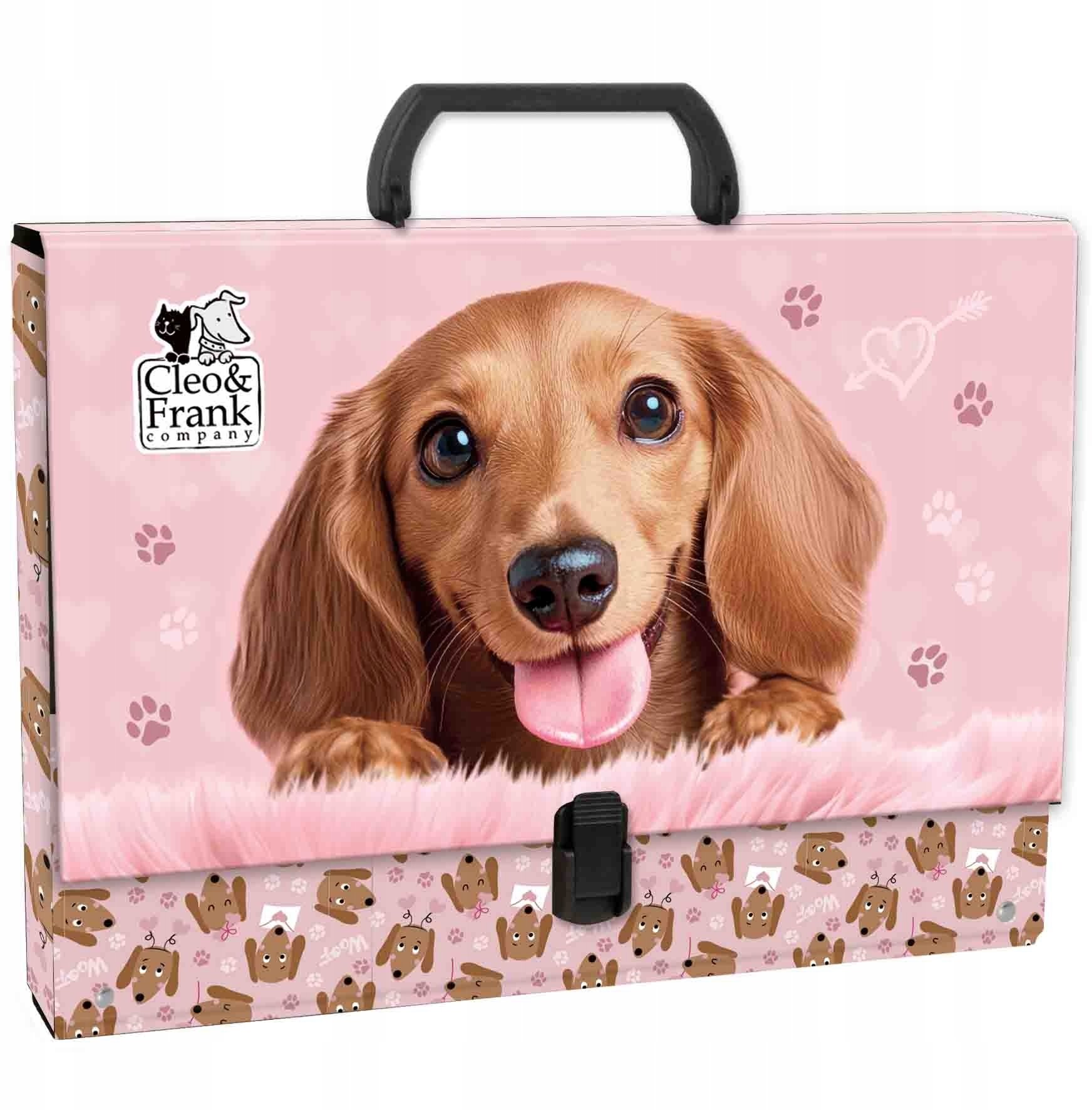 Derform Teczka z rączką Cleo i Frank 46 DERFORM