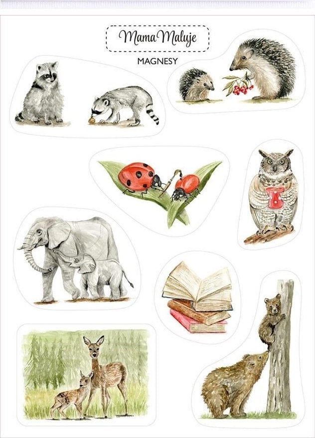 Magnesy Jak dobrze, że jesteś 1