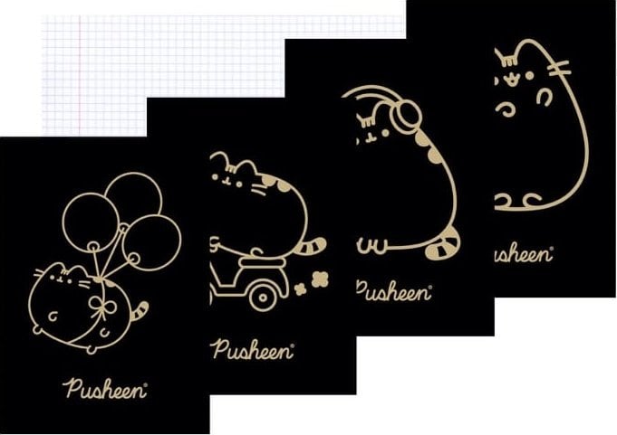 St. Majewski Zeszyt A5 60k krata laminowany Pusheen p10