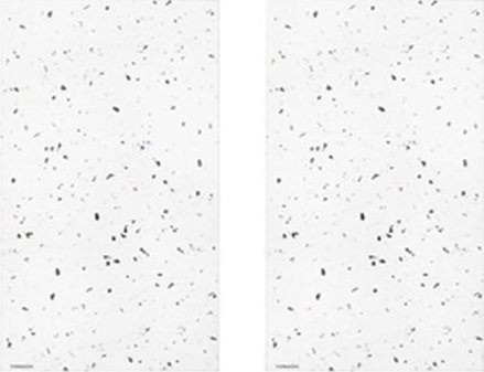 Typhoon Zestaw 2 podstawek pod naczynia Elements Quartz /