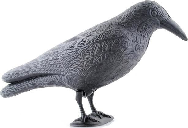 Ikonka Odstraszacz ptaków - kruk