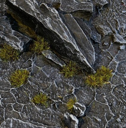 Gamers Grass Gamers Grass: Special tufts - 2 mm - Dark Moss (Tiny)