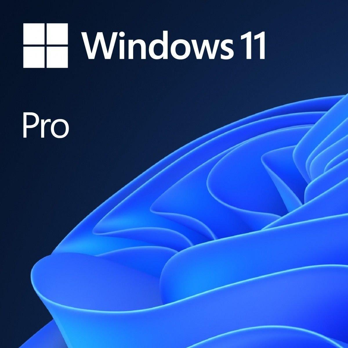 Фото - Програмне забезпечення Microsoft System operacyjny  Windows 11 Pro LT 64 bit OEM  (FQC-10542)