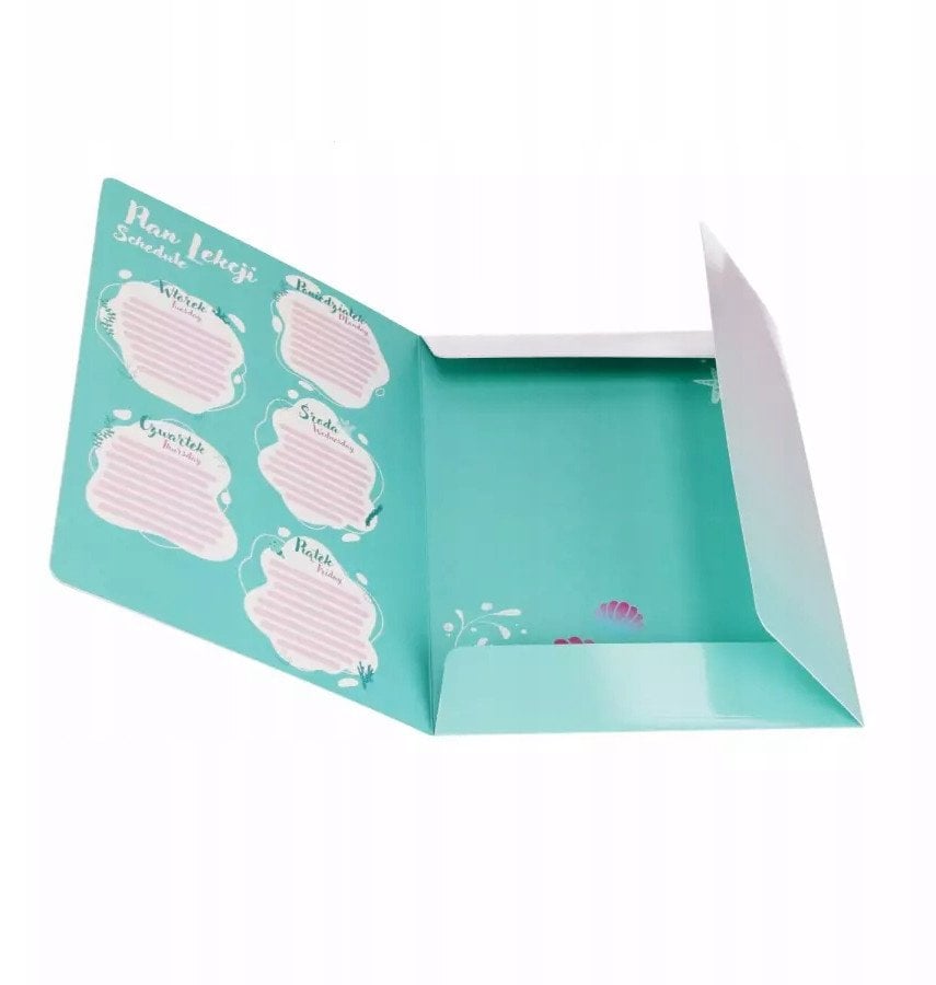 TECZKA Z GUMKA PAP A4 SHELL STK FOL10/100