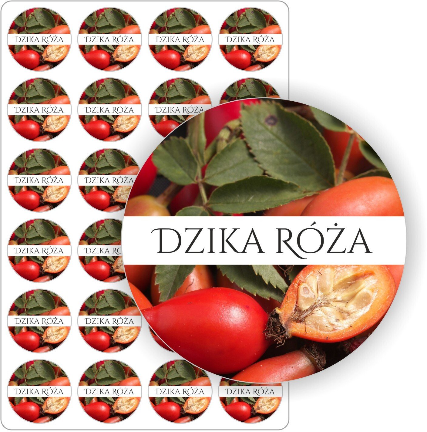 Stabilus etykiety etykietki nalepki wodoodporne samoprzylepne kolorowe DZIKA RÓŻA przetwory słoiki sok 5 cm (E-OWO_DZR_C5)