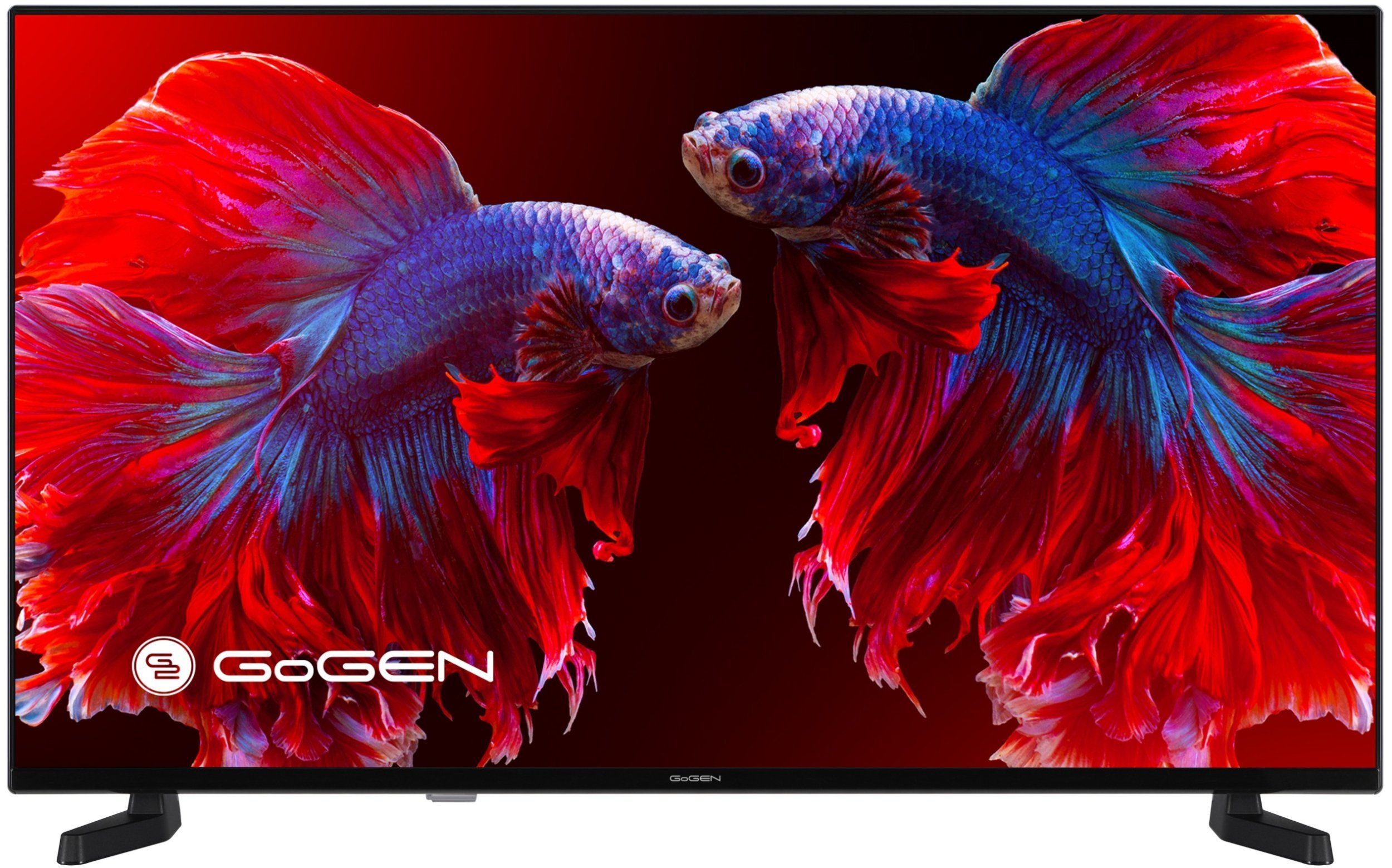 Telewizor GoGEN FHD 40'' - TVF40P420T