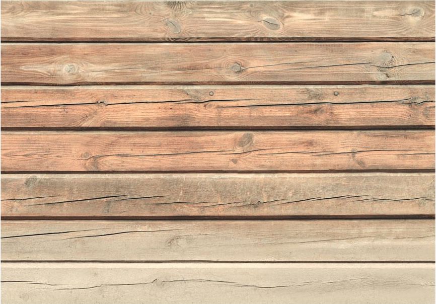 DecoNest Fototapeta - Stara sosna - 200X140