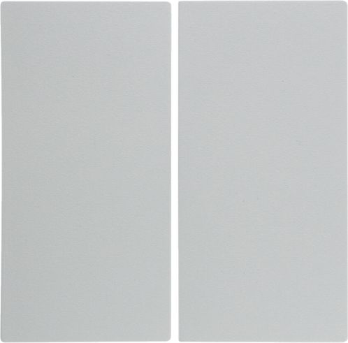 Berker Klawisz 2-biegunowy świecznikowy B.1 śnieżnobiały tworzywo GLAS (16231909)