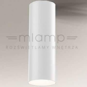 Zdjęcia - Żyrandol / lampa Tuba Lampa sufitowa Shilo Downlight LAMPA sufitowa SUWA 7073 Shilo natynkowa OP 