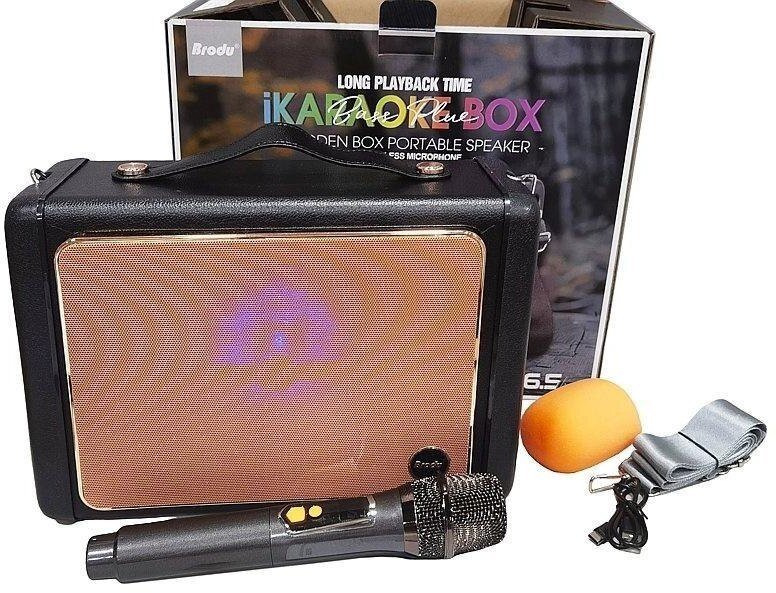 Głośnik Adar Bluetooth z mikrofonem karaoke USB (5901271635531)