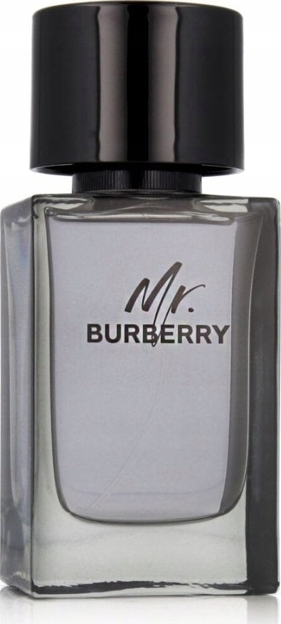 Burberry BURBERRY Mr. Burberry EDT spray 100ml