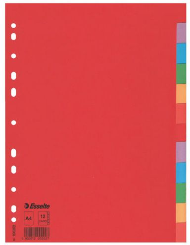 Esselte Przekładki z kolorowego kartonu. A4 (100202 N)