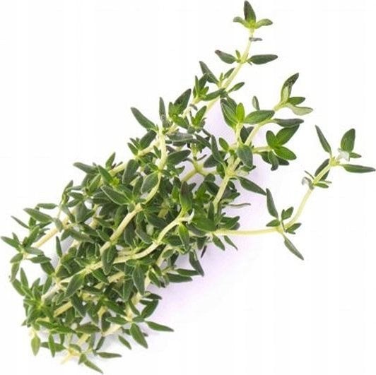 Veritable Véritable Lingot Tymián - BIO